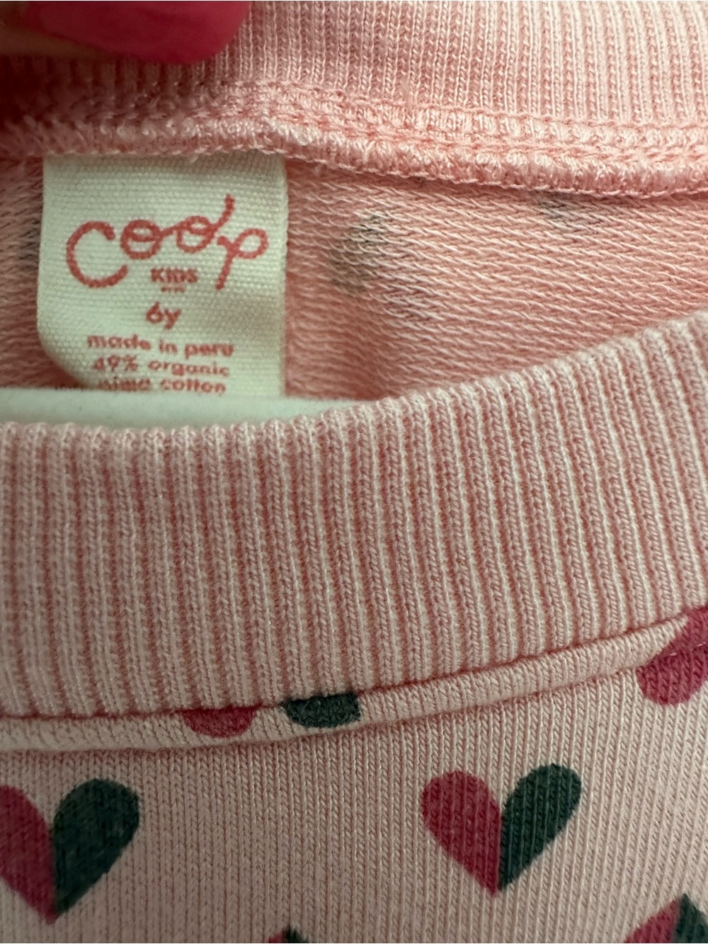 Coop Kids Play Sweatshirt - Picture 3 of 3